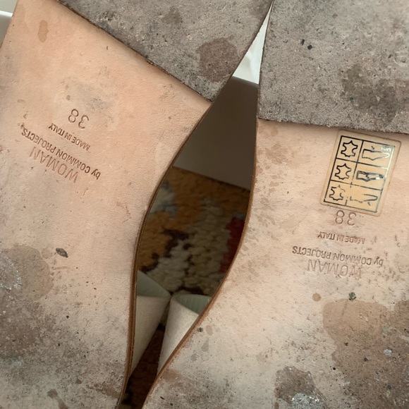 Common Projects Slides - Picture 7 of 7